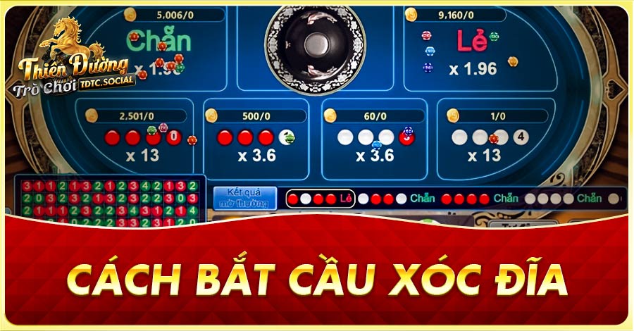 Cách bắt cầu Xóc Đĩa
