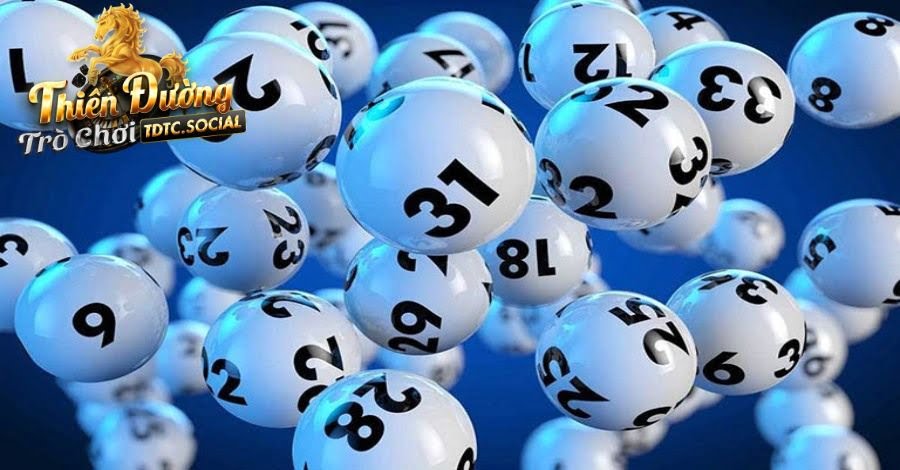 Phân tích bảng thống kê để tìm số vào tiền đầu tư 