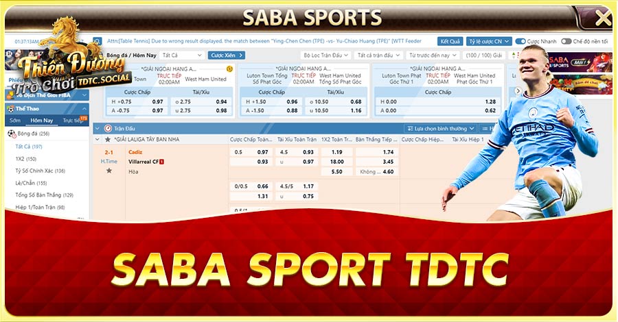 SABA Sports TDTC