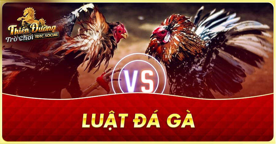 Luật Đá Gà